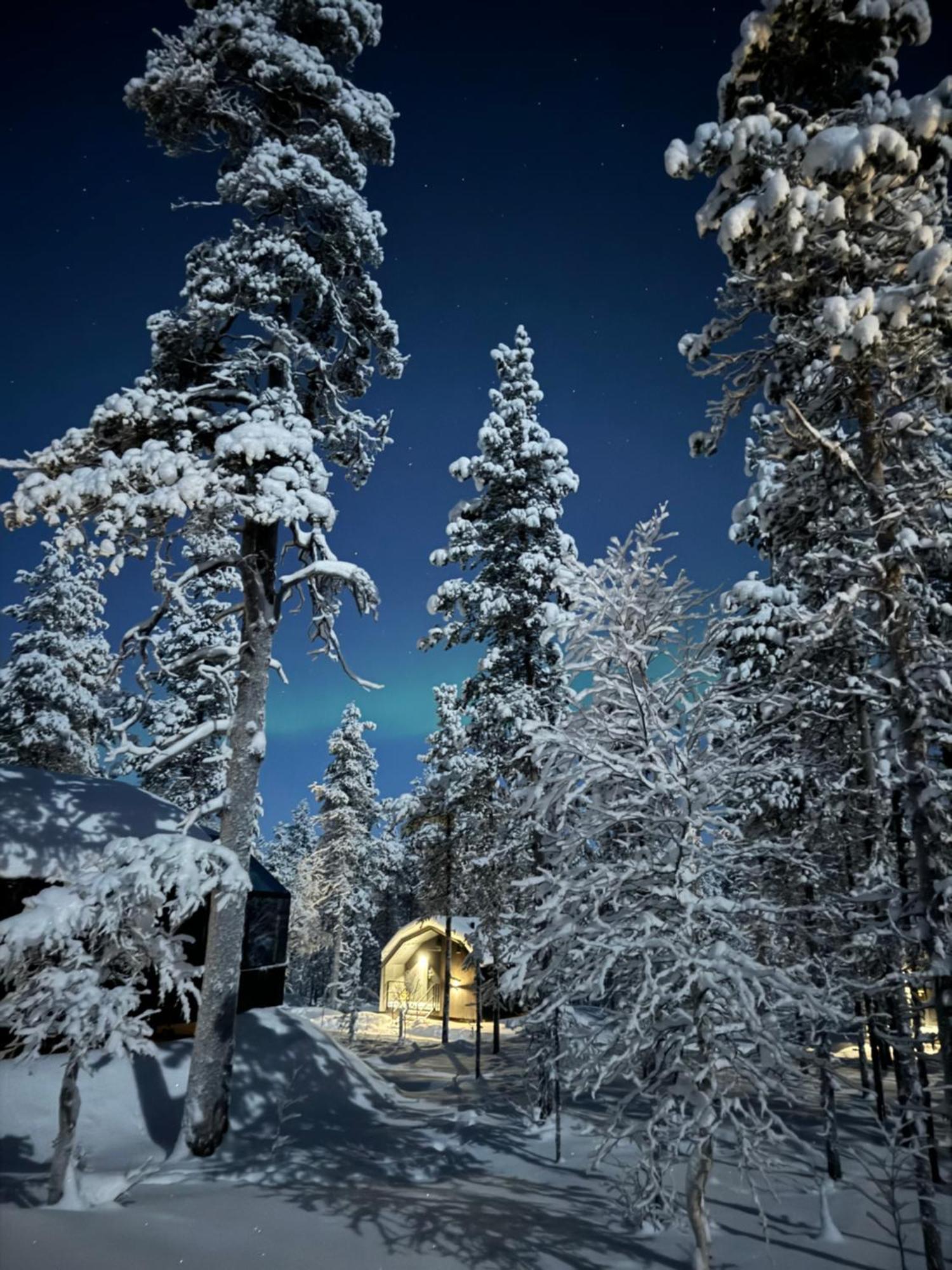 Aurora Queen Resort Igloos Saariselka Eksteriør bilde