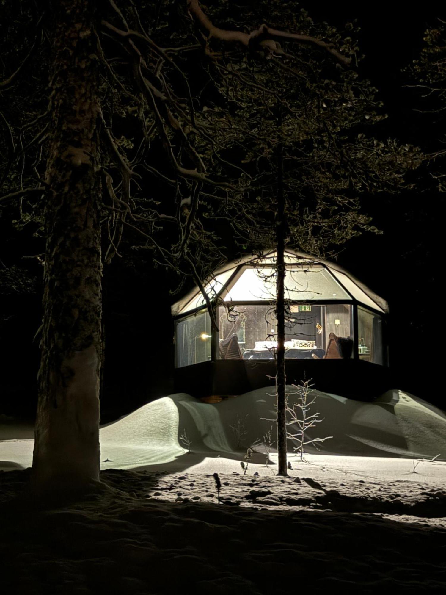 Aurora Queen Resort Igloos Saariselka Eksteriør bilde