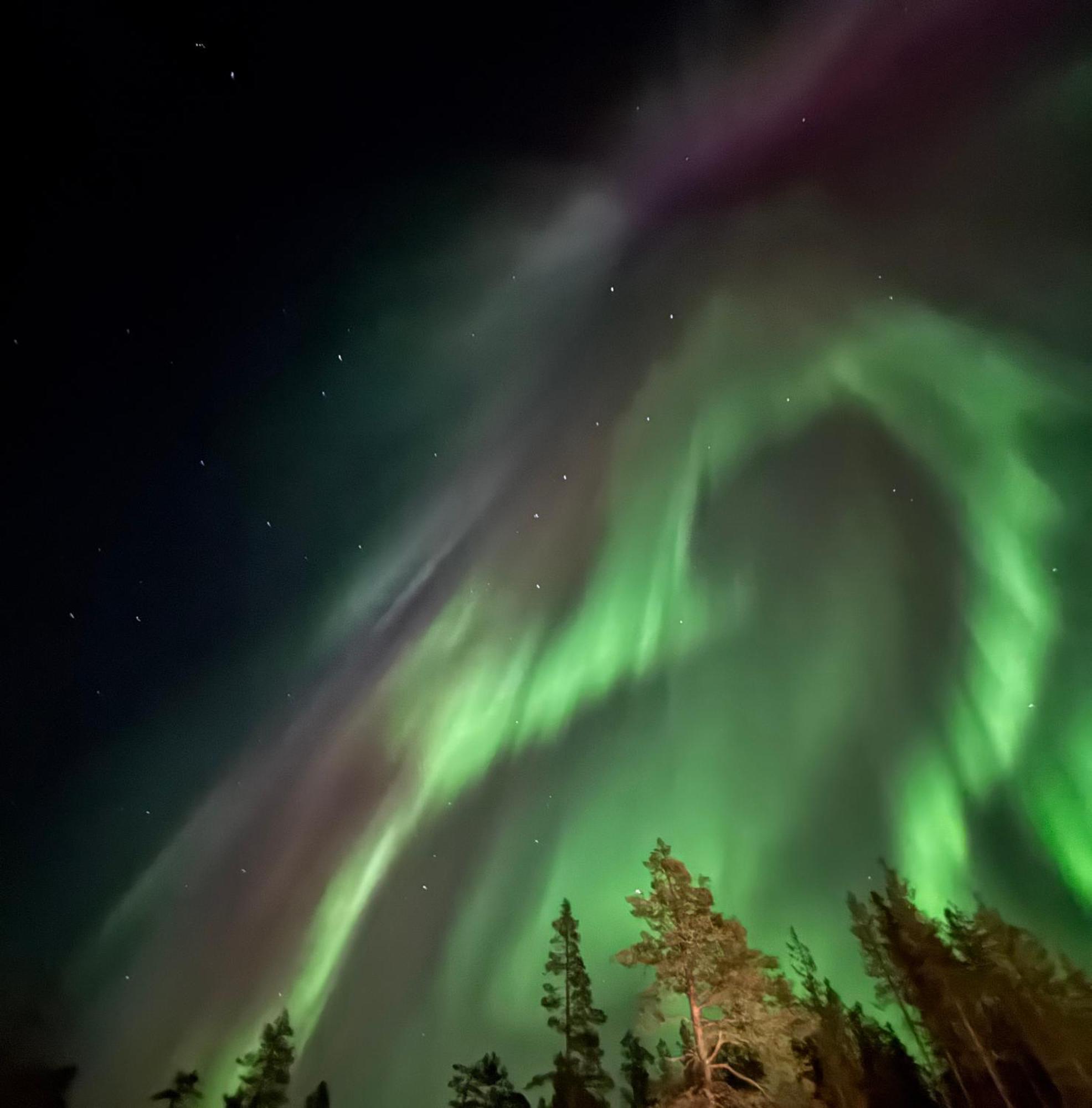 Aurora Queen Resort Igloos Saariselka Eksteriør bilde